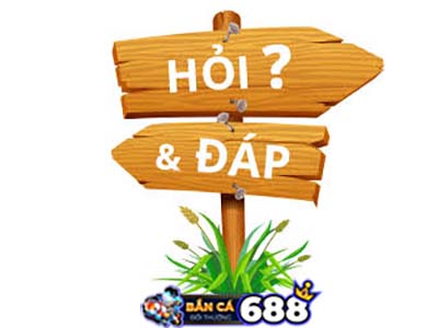 Câu Hỏi Thường Gặp FAQ 1 hoi-va-dap-ban-ca-doi-thuong